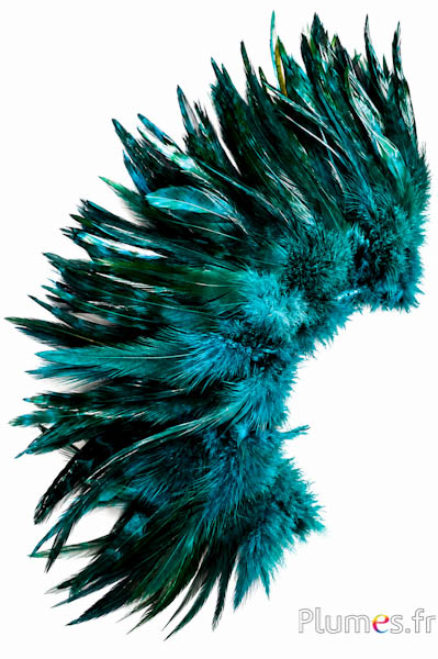 Franje haan - lengte veren 10-15 cm - jade
